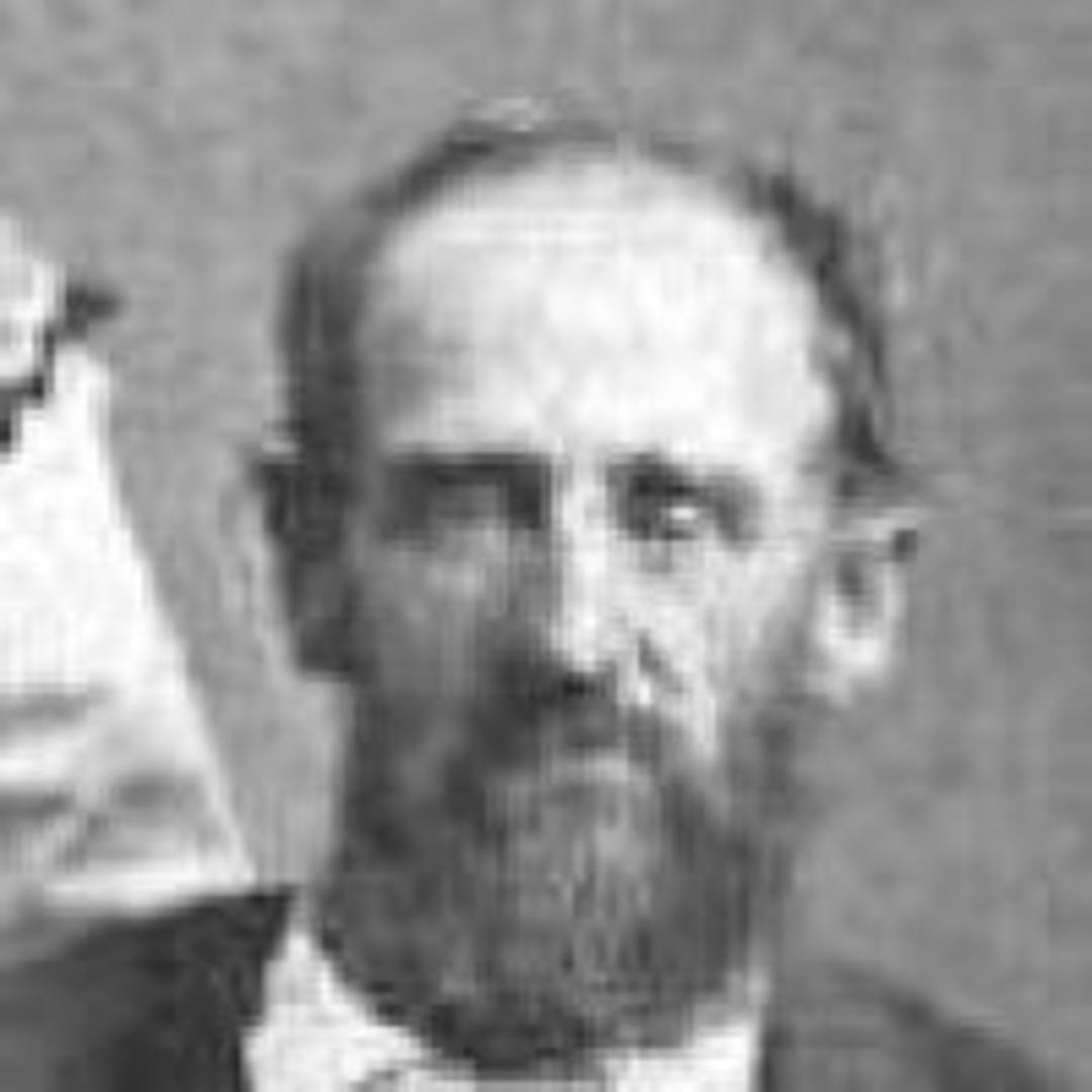 Robert Trimmer (1839 - 1932) Profile